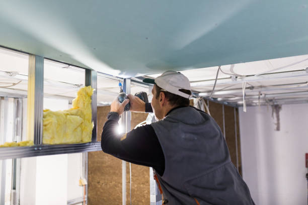 Best Specialized Insulation Services in Clinton, SC