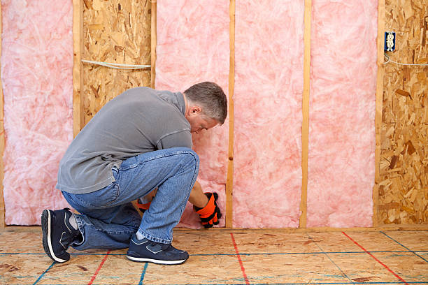 Best Residential Insulation in Clinton, SC