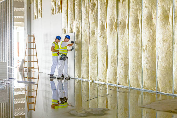 Best Energy Efficiency Insulation in Clinton, SC